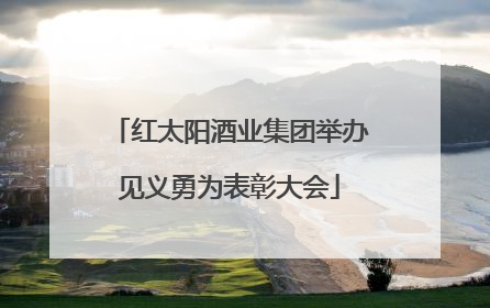 红太阳酒业集团举办见义勇为表彰大会