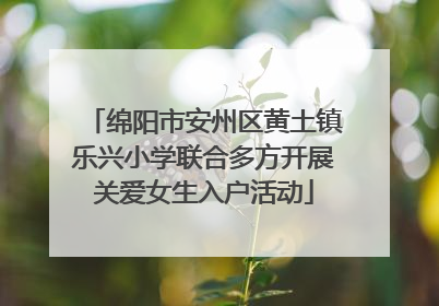 绵阳市安州区黄土镇乐兴小学联合多方开展关爱女生入户活动