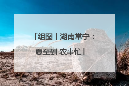 组图丨湖南常宁：夏至到 农事忙
