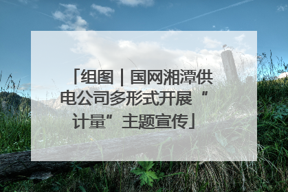 组图｜国网湘潭供电公司多形式开展“计量”主题宣传