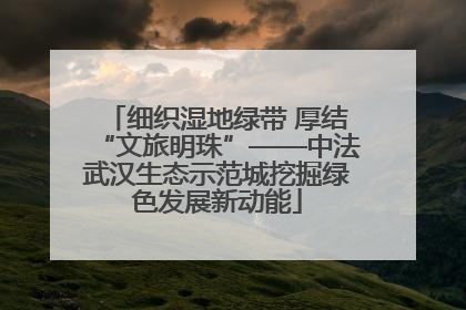 细织湿地绿带 厚结“文旅明珠”——中法武汉生态示范城挖掘绿色发展新动能