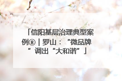 信阳基层治理典型案例⑧｜罗山：“微品牌”调出“大和谐”