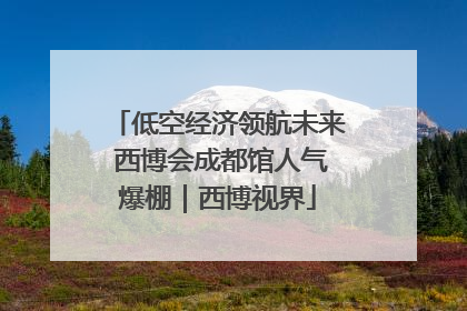 低空经济领航未来 西博会成都馆人气爆棚｜西博视界