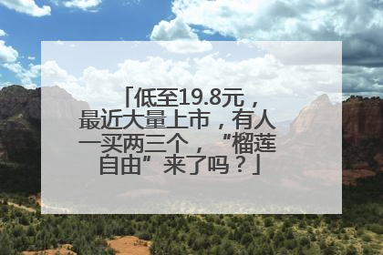 低至19.8元，最近大量上市，有人一买两三个，“榴莲自由”来了吗？