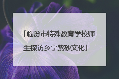 临汾市特殊教育学校师生探访乡宁紫砂文化