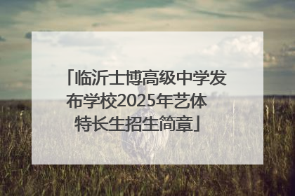 临沂士博高级中学发布学校2025年艺体特长生招生简章