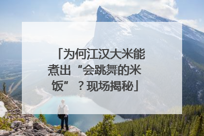 为何江汉大米能煮出“会跳舞的米饭”？现场揭秘
