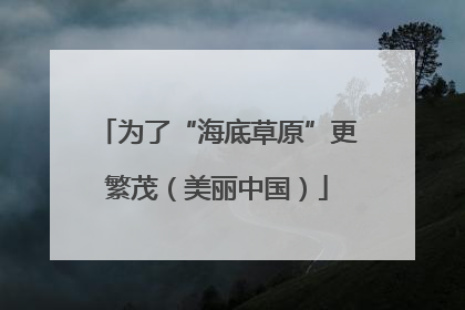 为了“海底草原”更繁茂（美丽中国）