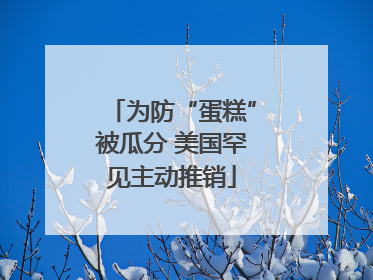 为防“蛋糕”被瓜分 美国罕见主动推销