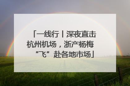 一线行丨深夜直击杭州机场，浙产杨梅“飞”赴各地市场
