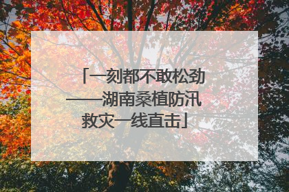 一刻都不敢松劲——湖南桑植防汛救灾一线直击