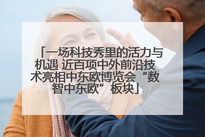 一场科技秀里的活力与机遇 近百项中外前沿技术亮相中东欧博览会“数智中东欧”板块