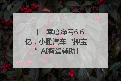 一季度净亏6.6亿，小鹏汽车“押宝”AI智驾辅助