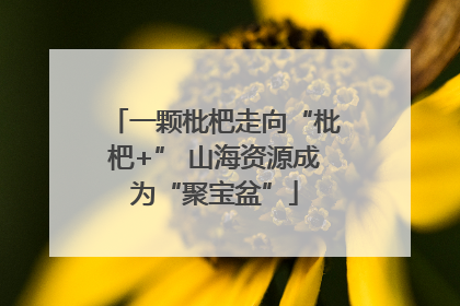 一颗枇杷走向“枇杷+” 山海资源成为“聚宝盆”