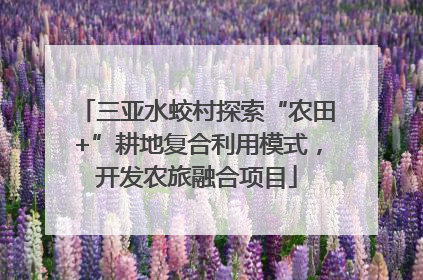 三亚水蛟村探索“农田+”耕地复合利用模式，开发农旅融合项目