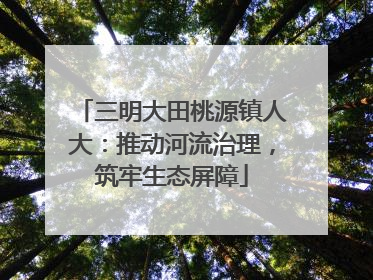 三明大田桃源镇人大：推动河流治理，筑牢生态屏障