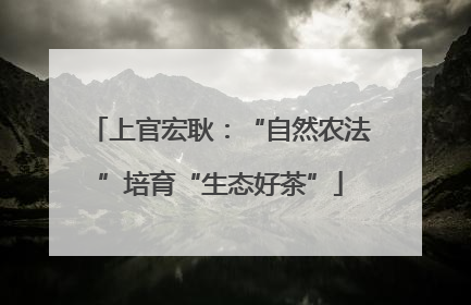 上官宏耿：“自然农法”培育“生态好茶”