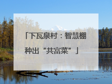 下瓦泉村：智慧棚种出“共富菜”