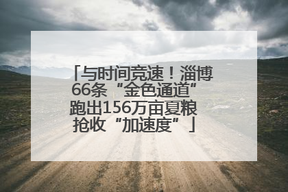 与时间竞速！淄博66条“金色通道”跑出156万亩夏粮抢收“加速度”