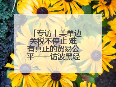 专访丨美单边关税不停止 难有真正的贸易公平——访波黑经济学家伊戈尔