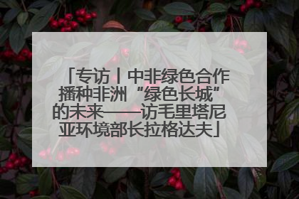 专访丨中非绿色合作播种非洲“绿色长城”的未来——访毛里塔尼亚环境部长拉格达夫