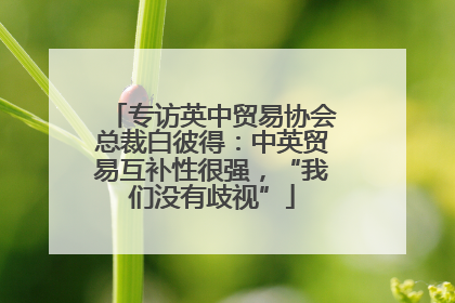 专访英中贸易协会总裁白彼得：中英贸易互补性很强，“我们没有歧视”