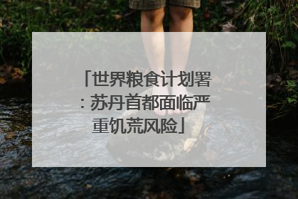 世界粮食计划署：苏丹首都面临严重饥荒风险