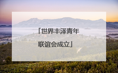世界丰泽青年联谊会成立