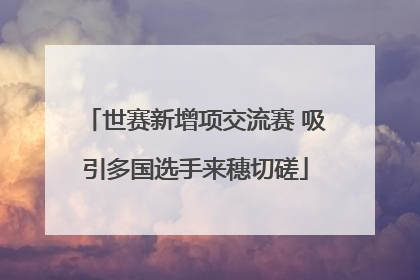 世赛新增项交流赛 吸引多国选手来穗切磋