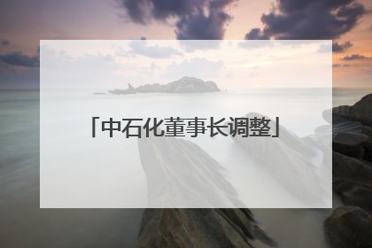 中石化董事长调整