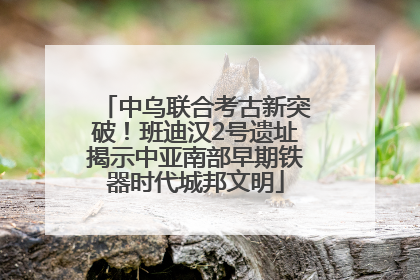 中乌联合考古新突破！班迪汉2号遗址揭示中亚南部早期铁器时代城邦文明