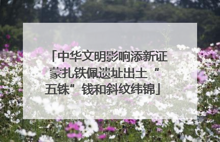 中华文明影响添新证 蒙扎铁佩遗址出土“五铢”钱和斜纹纬锦