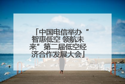 中国电信举办“智惠低空 领航未来”第二届低空经济合作发展大会