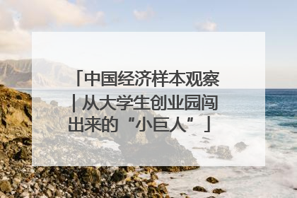 中国经济样本观察｜从大学生创业园闯出来的“小巨人”