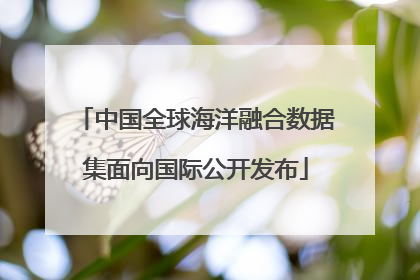 中国全球海洋融合数据集面向国际公开发布