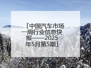 中国汽车市场一周行业信息快报——2025年5月第5期