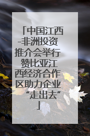 中国江西-非洲投资推介会举行 赞比亚江西经济合作区助力企业“走出去”
