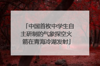 中国首枚中学生自主研制的气象探空火箭在青海冷湖发射