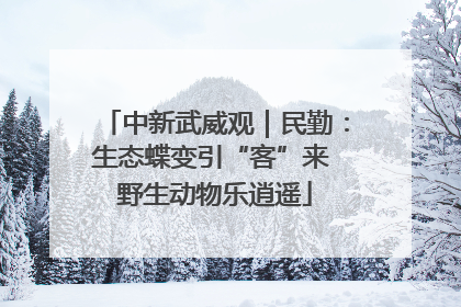 中新武威观｜民勤：生态蝶变引“客”来 野生动物乐逍遥