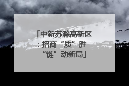 中新苏滁高新区：招商“质”胜 “链”动新局
