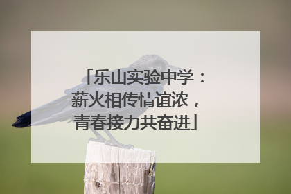乐山实验中学：薪火相传情谊浓，青春接力共奋进