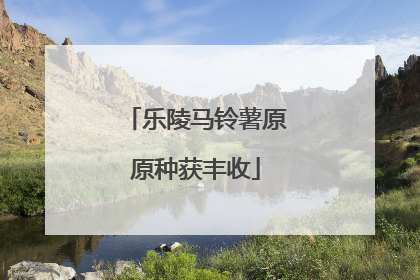 乐陵马铃薯原原种获丰收