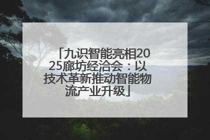 九识智能亮相2025廊坊经洽会：以技术革新推动智能物流产业升级