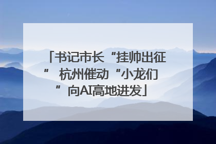 书记市长“挂帅出征” 杭州催动“小龙们”向AI高地进发
