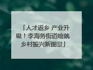 人才返乡 产业升级！李海务街道绘就乡村振兴新图景