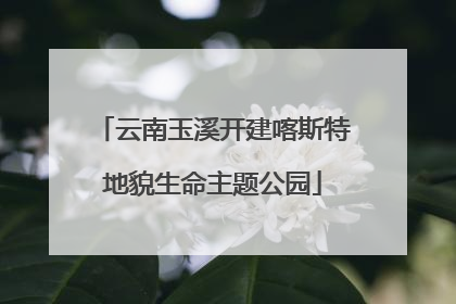 云南玉溪开建喀斯特地貌生命主题公园