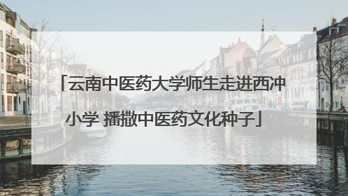 云南中医药大学师生走进西冲小学 播撒中医药文化种子