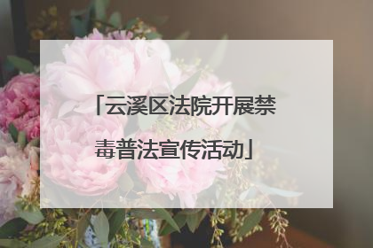 云溪区法院开展禁毒普法宣传活动