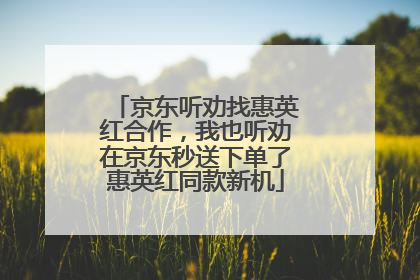 京东听劝找惠英红合作，我也听劝在京东秒送下单了惠英红同款新机