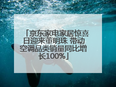 京东家电家居惊喜日迎来董明珠 带动空调品类销量同比增长100%